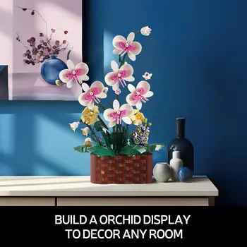 Kes Orhideed Pottidesse Ehitusplokid Succulents Pottidesse Mudeli Kokkupanekuks Tellised Tüdrukud Kingitused Kodu Kaunistamiseks Puhkus Kingitused Lapsed Mänguasjad