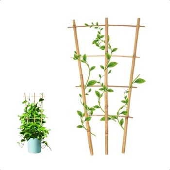 5tk/set Prügikast jaoks potitaimed, Bambusest Prügikast Fan-Kujuline Taime Toetavad Prügikast Sise-Mini Ronida Taimed Pottidesse Pla