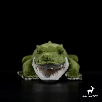 kingitus mudel roheline crocdile