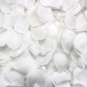 500 kroonlehed laiali hajutatud, valge dekoratsioon Pulmapidu